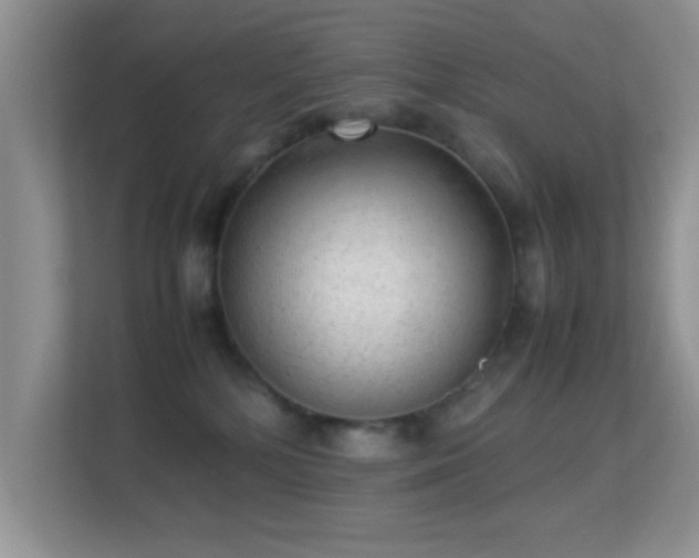 X0000113540232200909250933