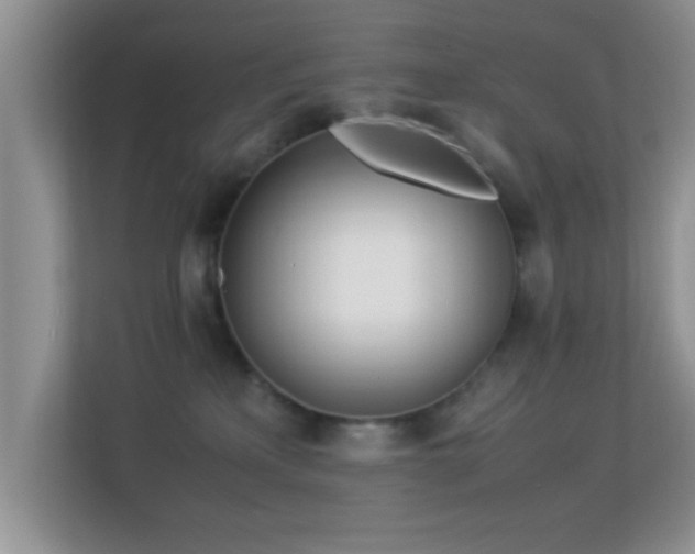 X0000113540233200909250933