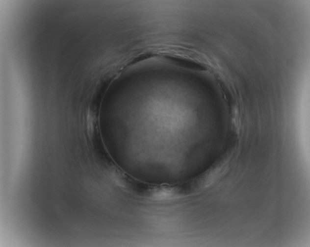 X0000113540235200909250933