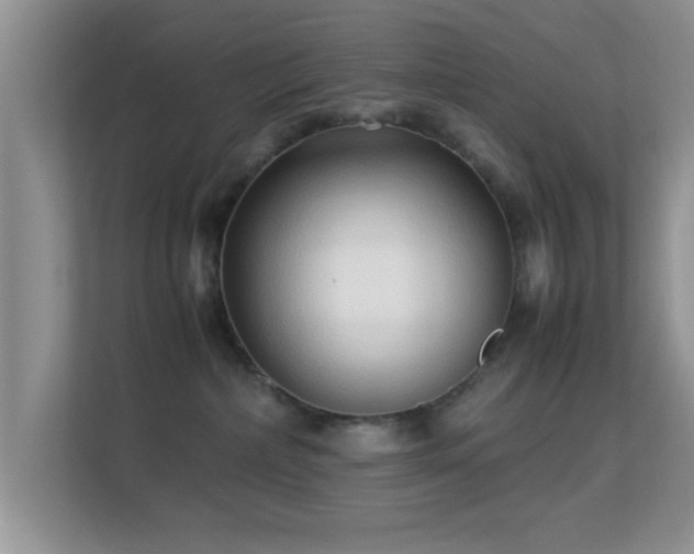 X0000113540236200909250933