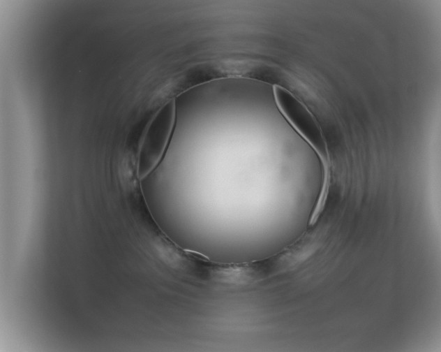 X0000113540237200909250933