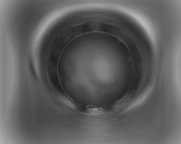 X0000113540239200909250933