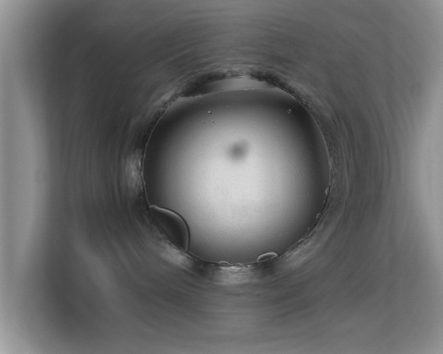 X0000113540240200909250932