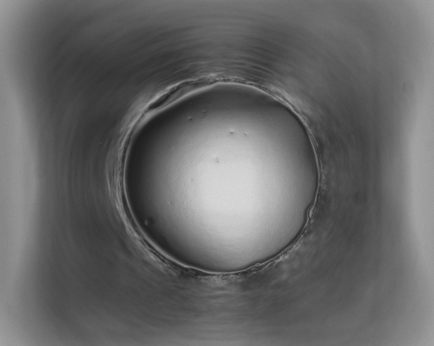 X0000113540241200909250932