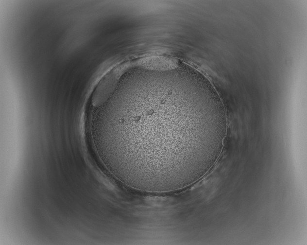 X0000113540242200909250932