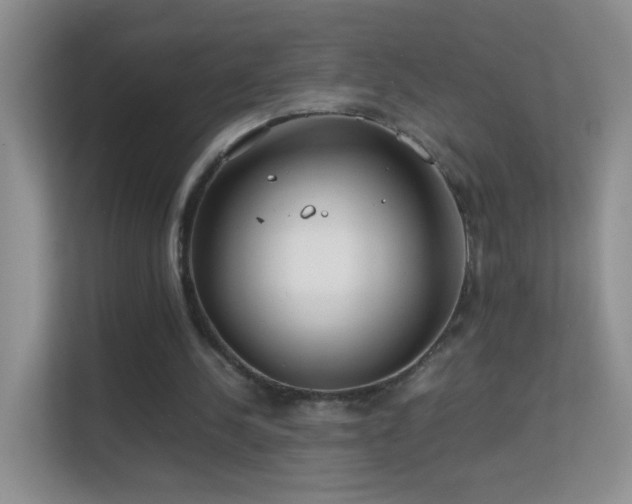 X0000113540244200909250932