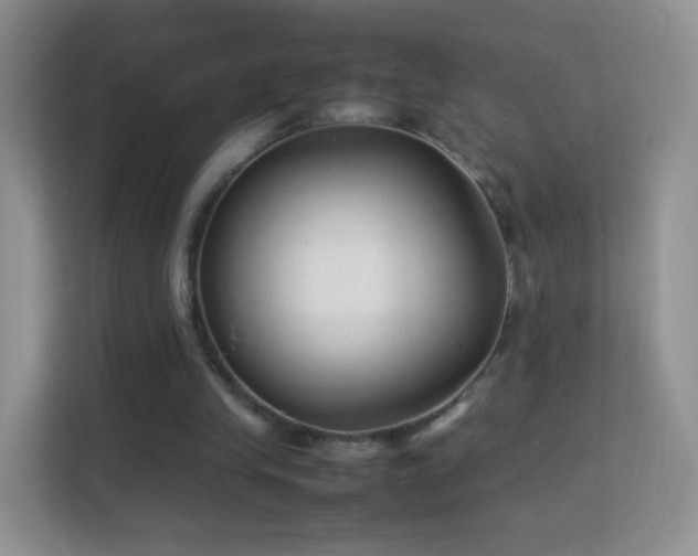 X0000113540245200909250932