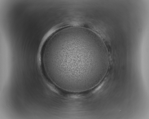 X0000113540246200909250932