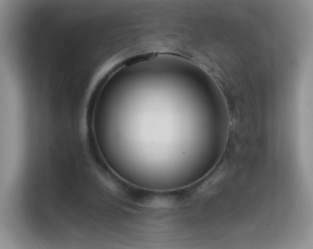 X0000113540248200909250932