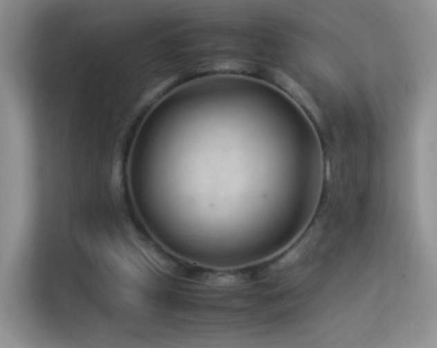 X0000113540249200909250932