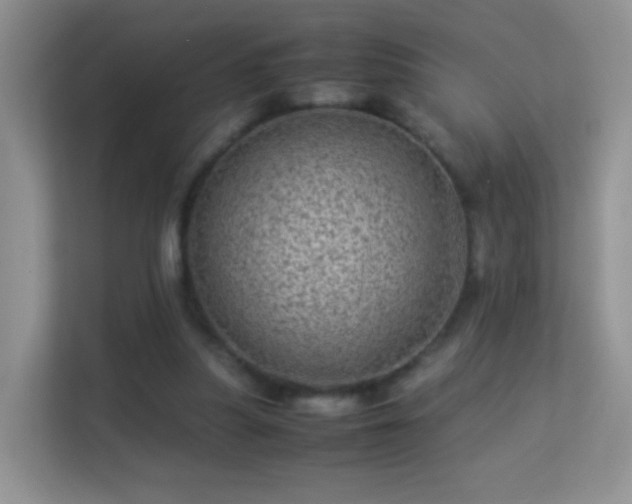 X0000113540251200909250932