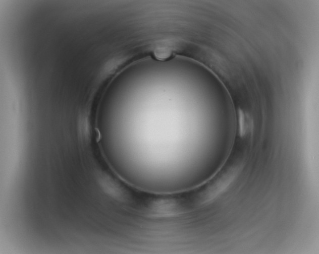 X0000113540252200909250932