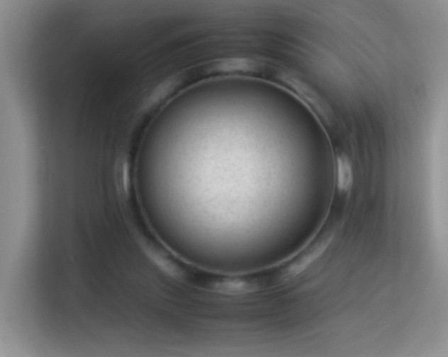 X0000113540253200909250932