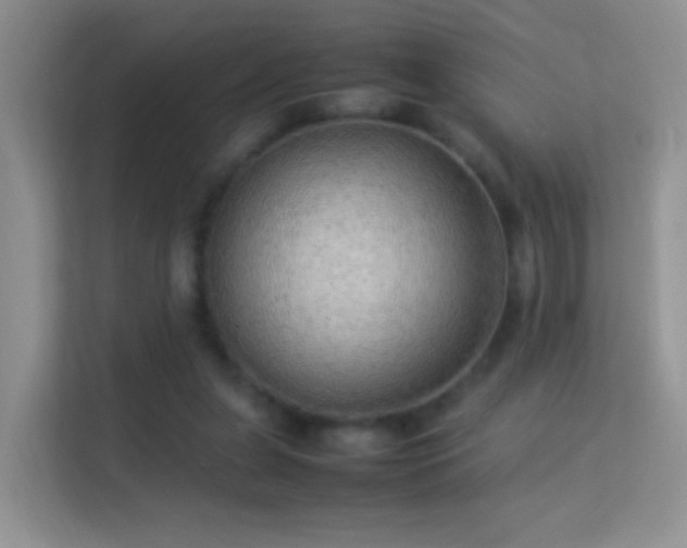 X0000113540255200909250932