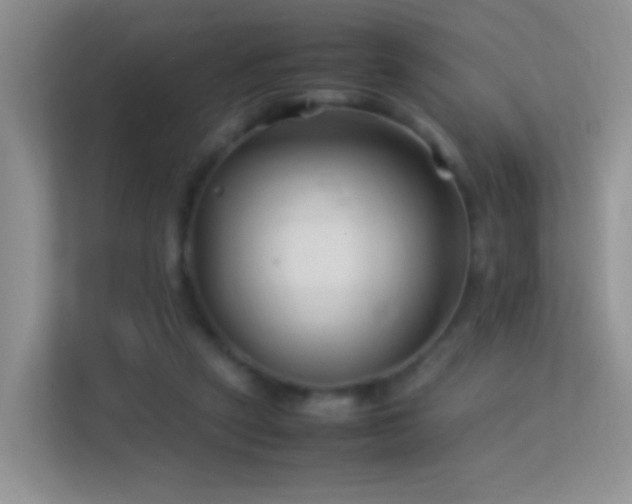 X0000113540257200909250932