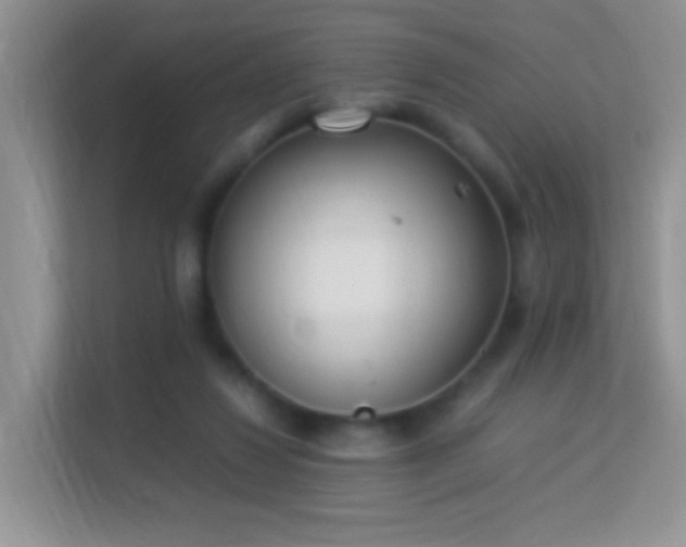 X0000113540260200909250932