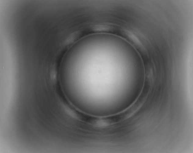 X0000113540261200909250932