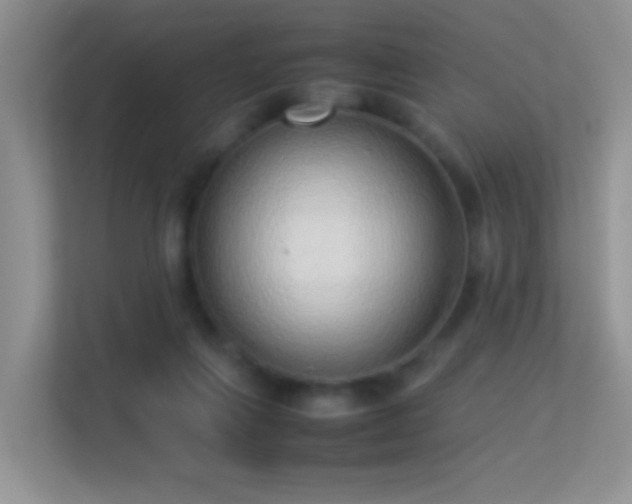 X0000113540263200909250932