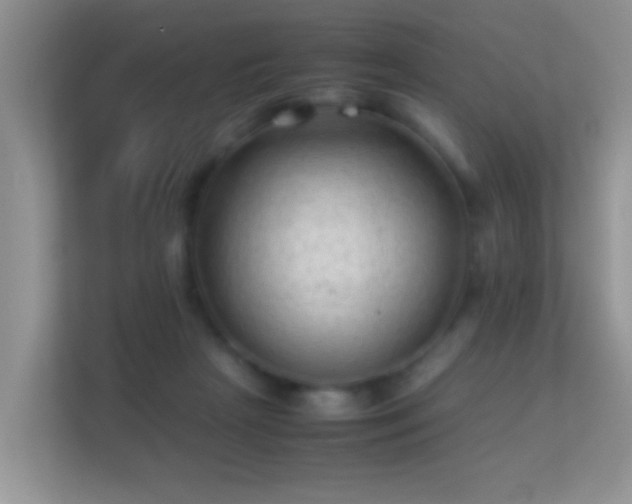 X0000113540265200909250932