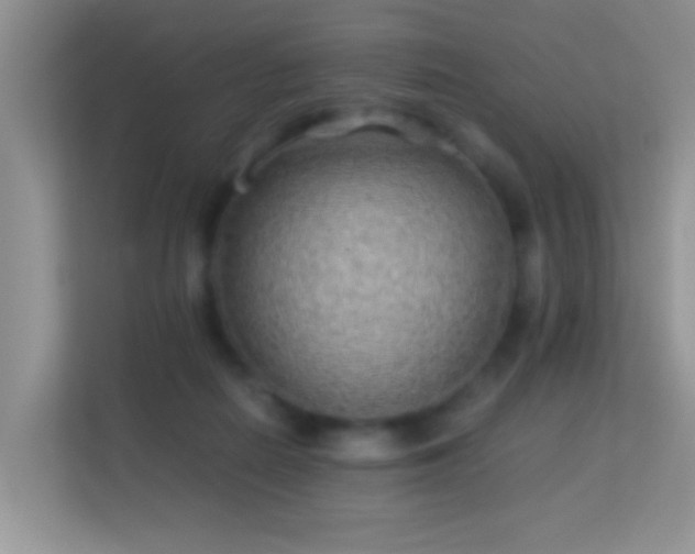 X0000113540266200909250932