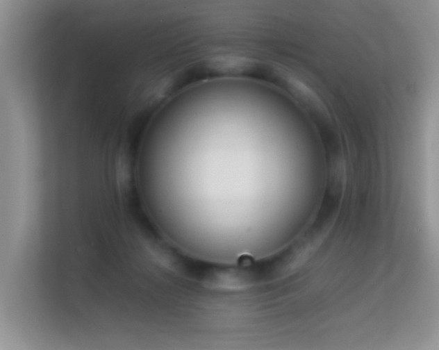 X0000113540268200909250932