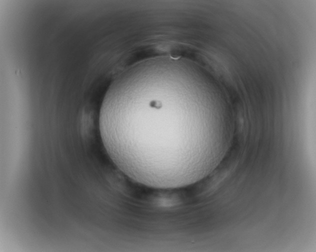 X0000113540275200909250932