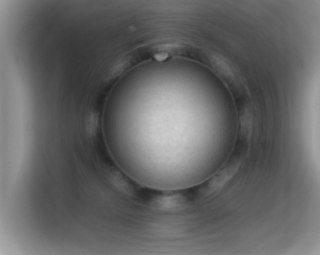 X0000113540278200909250932