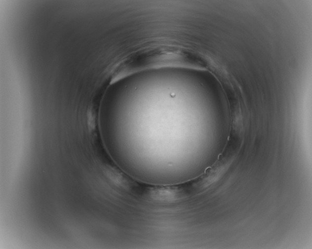 X0000113540282200909250932