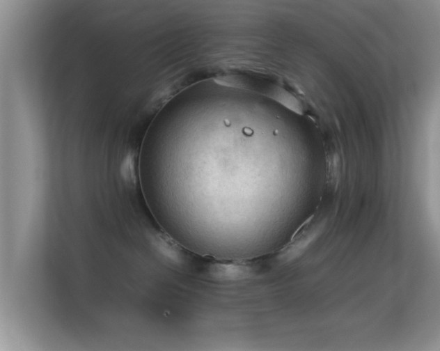 X0000113540286200909250932