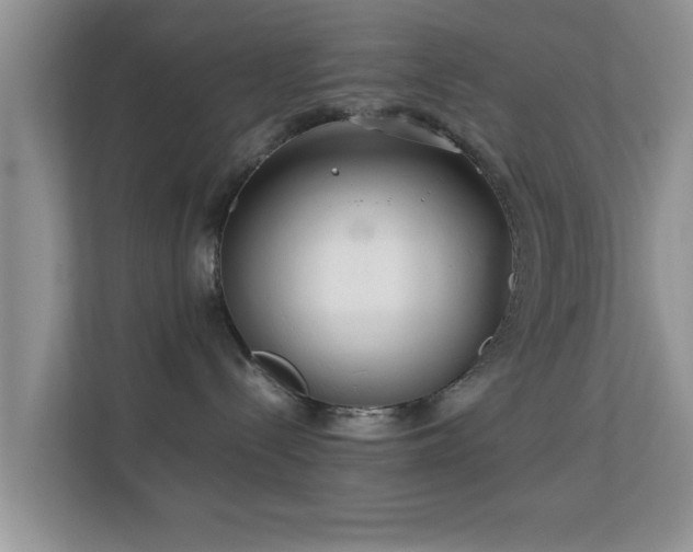 X0000113540288200909250932