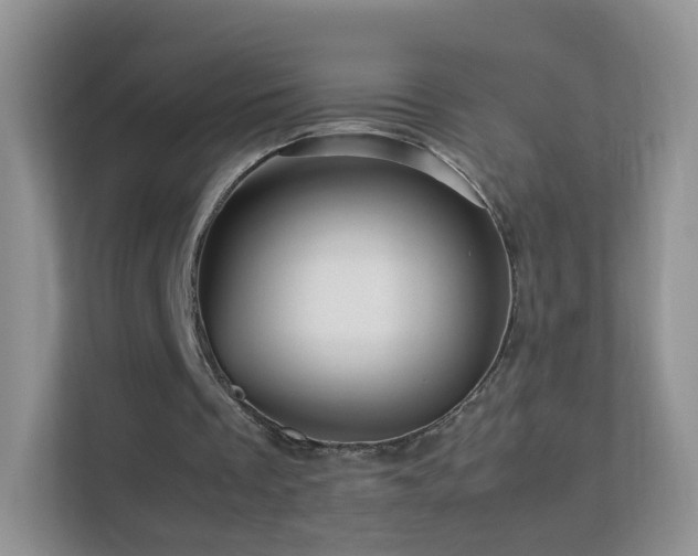 X0000113540289200909250932