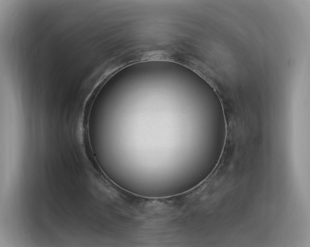 X0000113540290200909250932