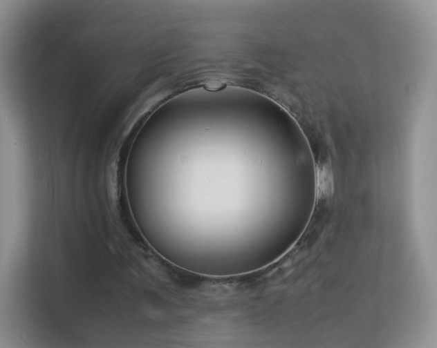 X0000113540291200909250932