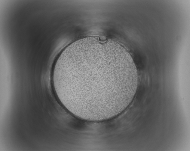 X0000113540293200909250932