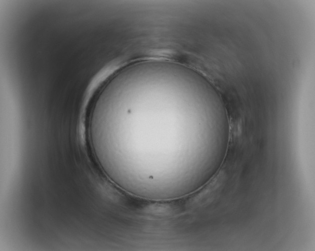 X0000113540294200909250932