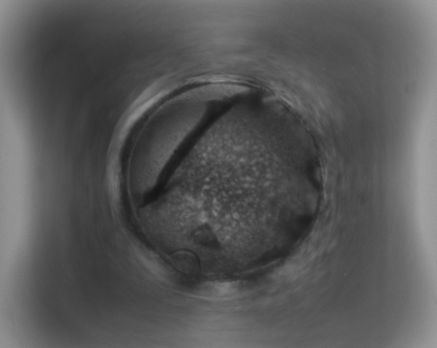 X0000113540295200909250932