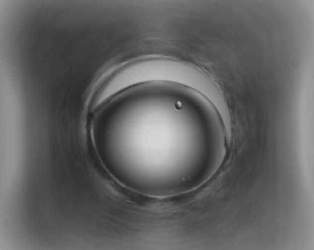 X0000113540296200909250932