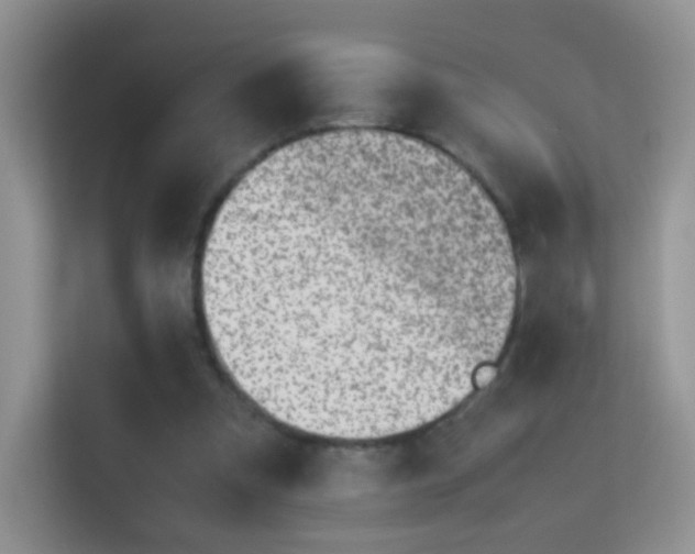 X0000113540297200909250932