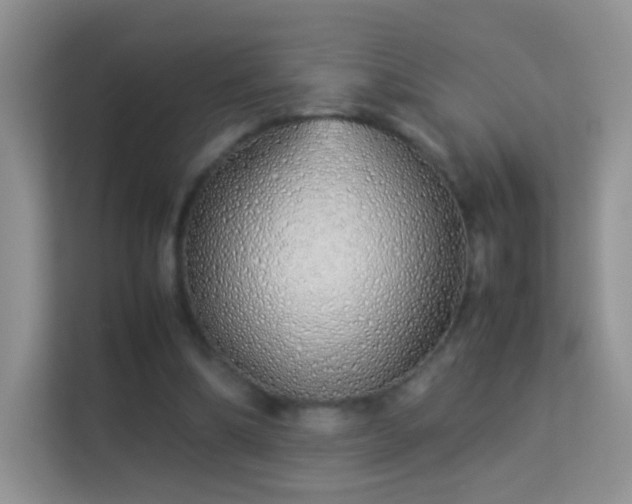 X0000113540298200909250932