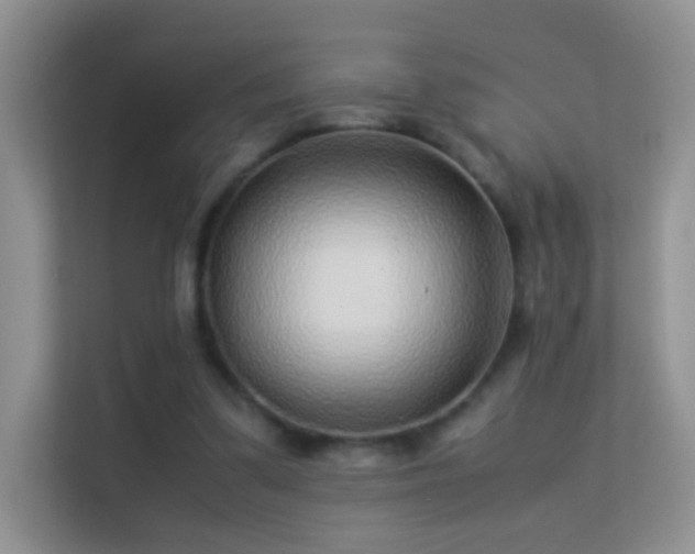 X0000113540299200909250932