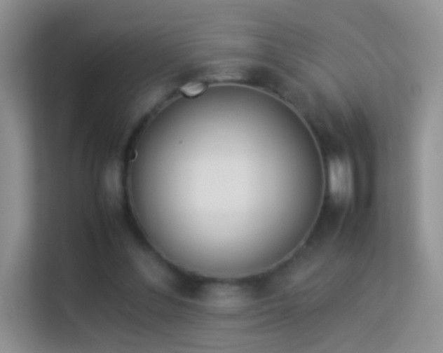 X0000113540300200909250932