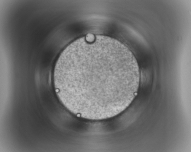 X0000113540301200909250932