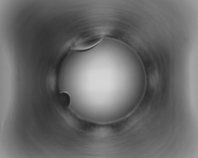 X0000113540304200909250932