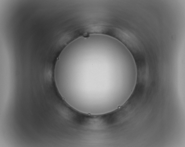 X0000113540309200909250932