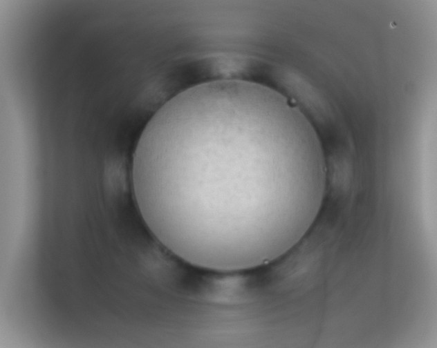 X0000113540313200909250932