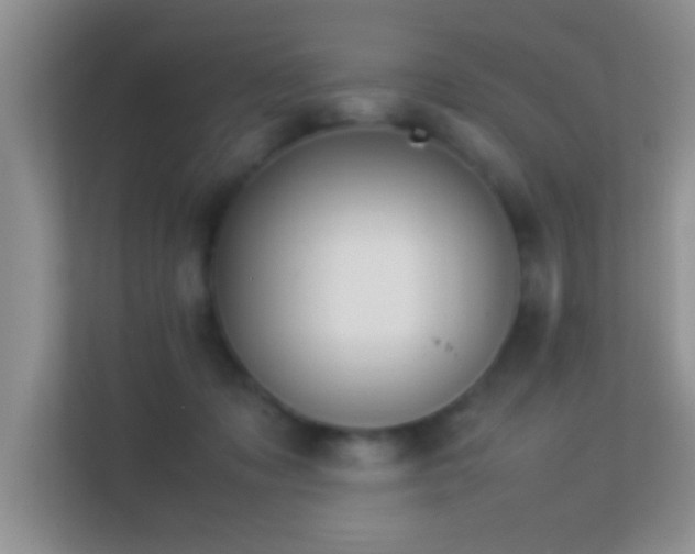 X0000113540317200909250931