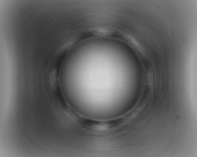 X0000113540318200909250931