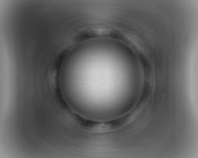 X0000113540319200909250931