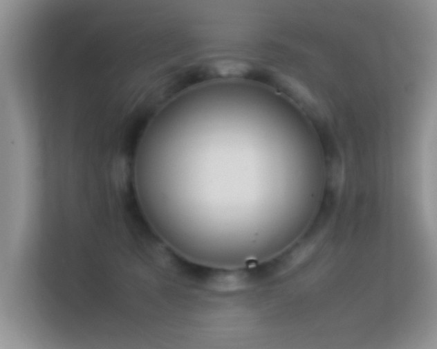 X0000113540321200909250931