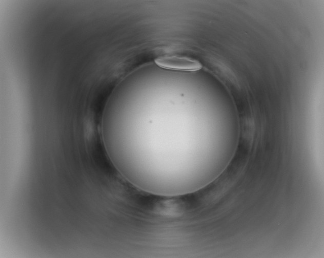 X0000113540324200909250931